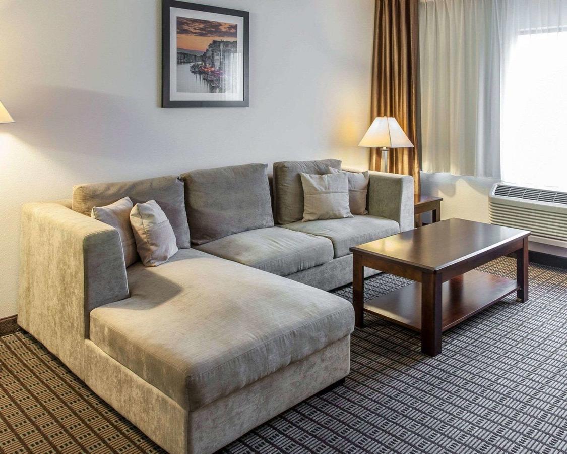 Comfort Inn & Suites BWI Airport - thumb 12