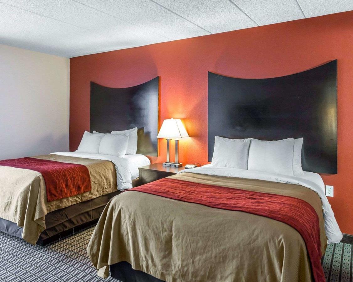 Comfort Inn & Suites BWI Airport - thumb 1