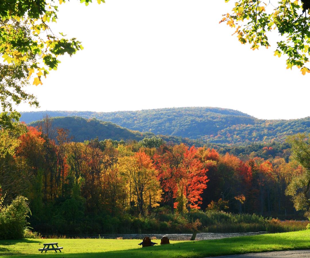 Yankee Inn - thumb 40