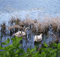 House on Boland Pond - Accommodation Indiana