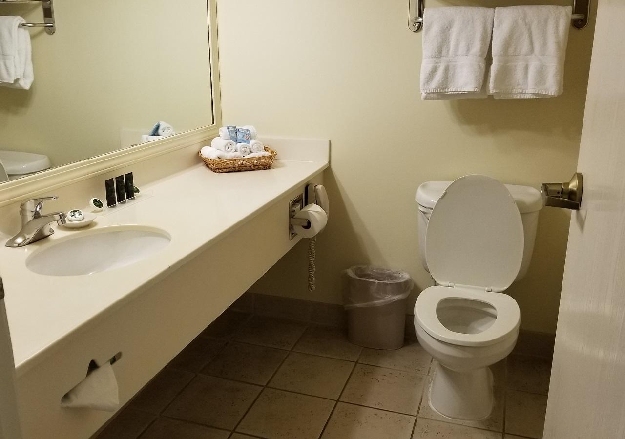 Cherry Tree Inn And Suites - thumb 4