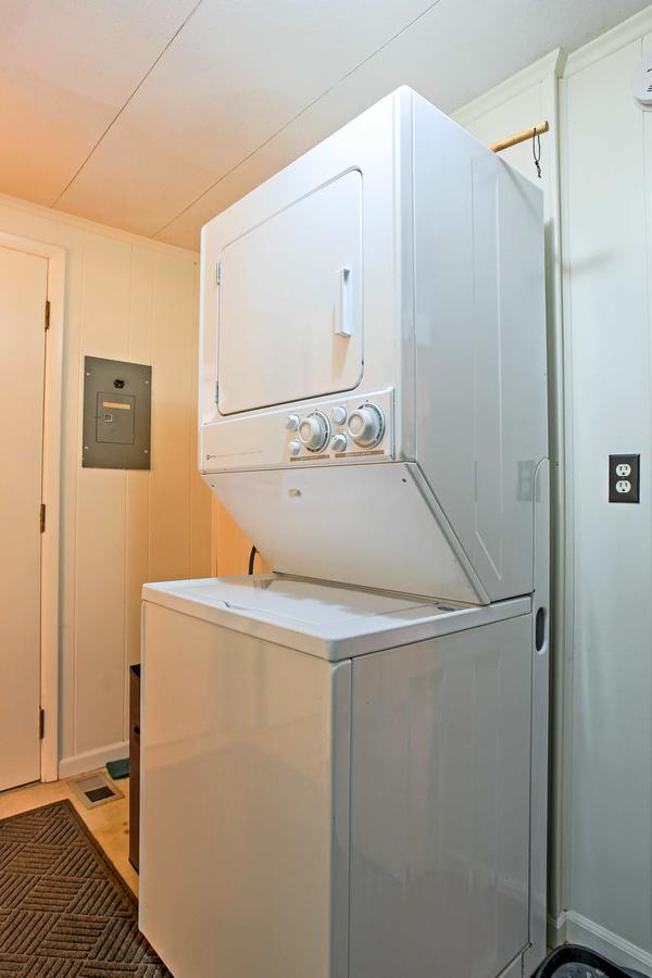 Yellow Rose Of Frankfort - thumb 18