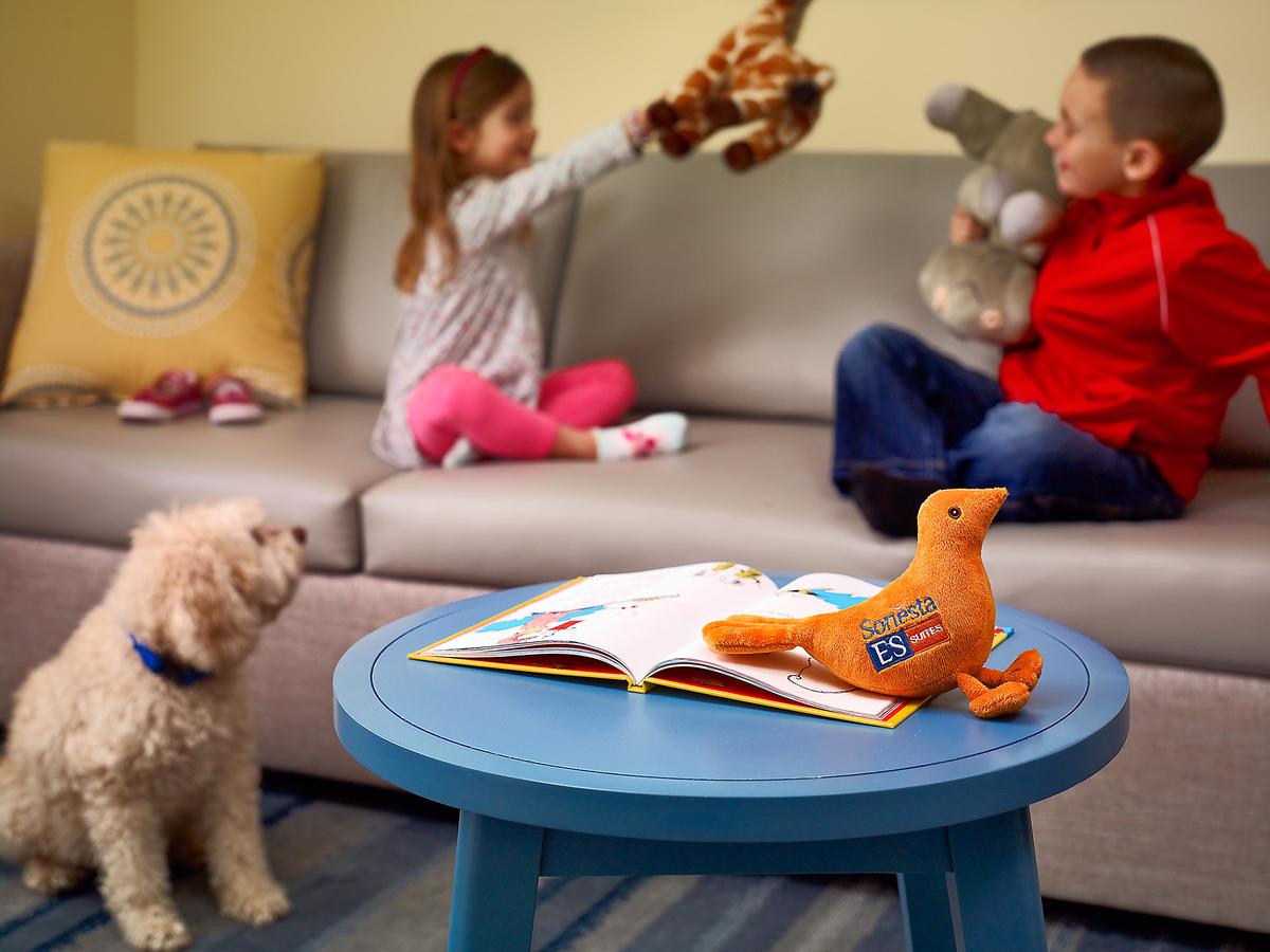 Sonesta ES Suites St. Louis - Chesterfield - thumb 18