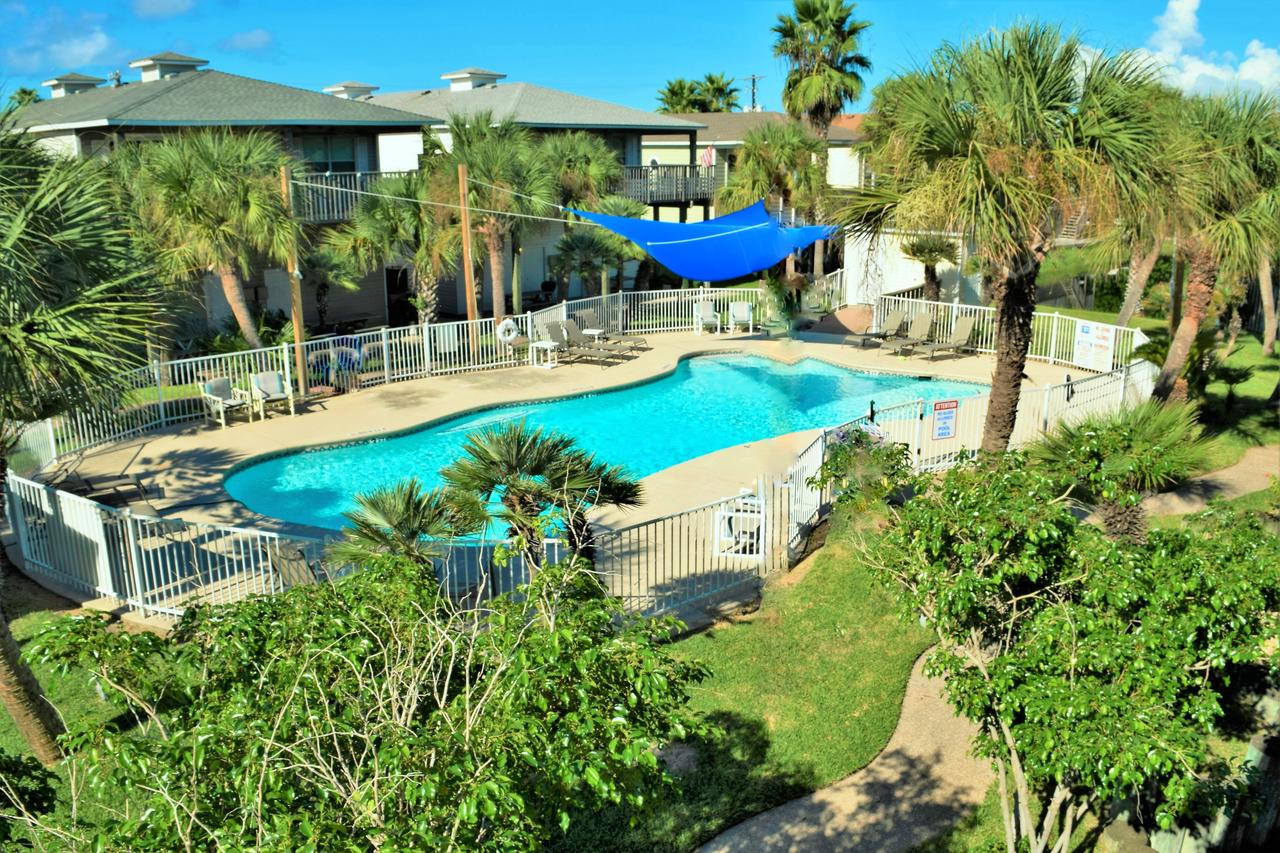221A Las Palmas Condo - thumb 34