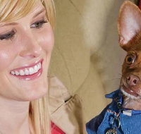 Home2 Suites By Hilton Omaha Un Medical Ctr Area - Accommodation Indiana