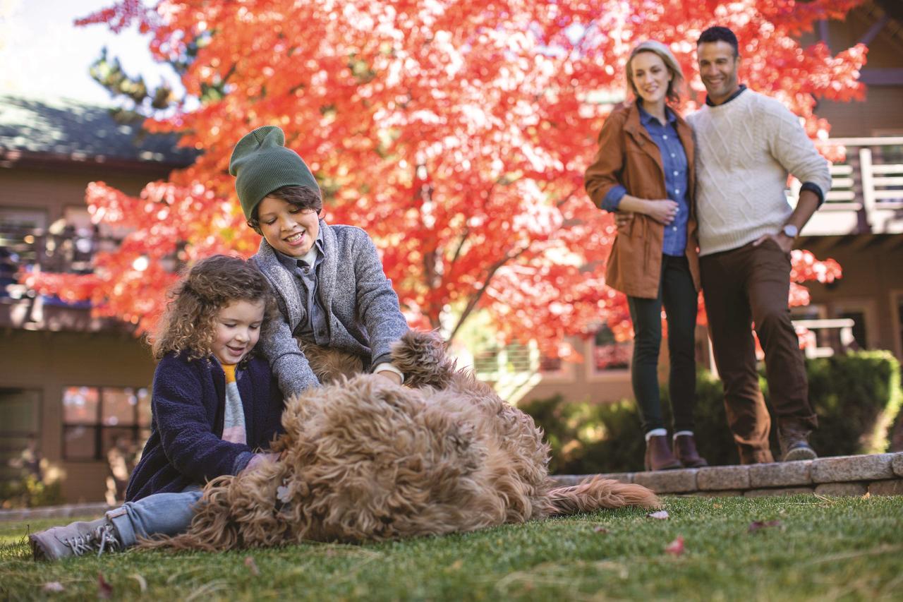 Hyatt Regency Lake Tahoe Resort, Spa & Casino - thumb 29