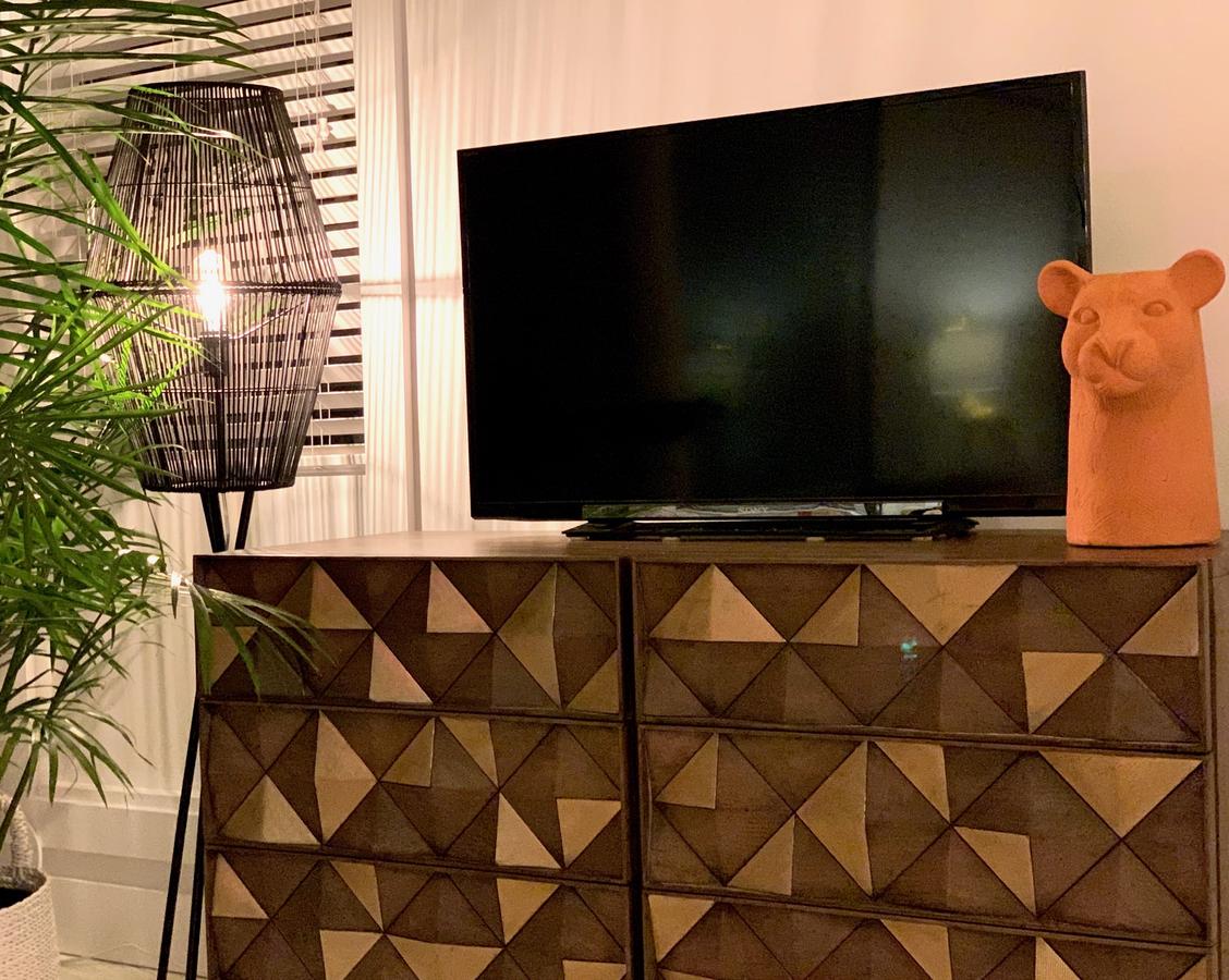 Aqua By American Beech - thumb 17