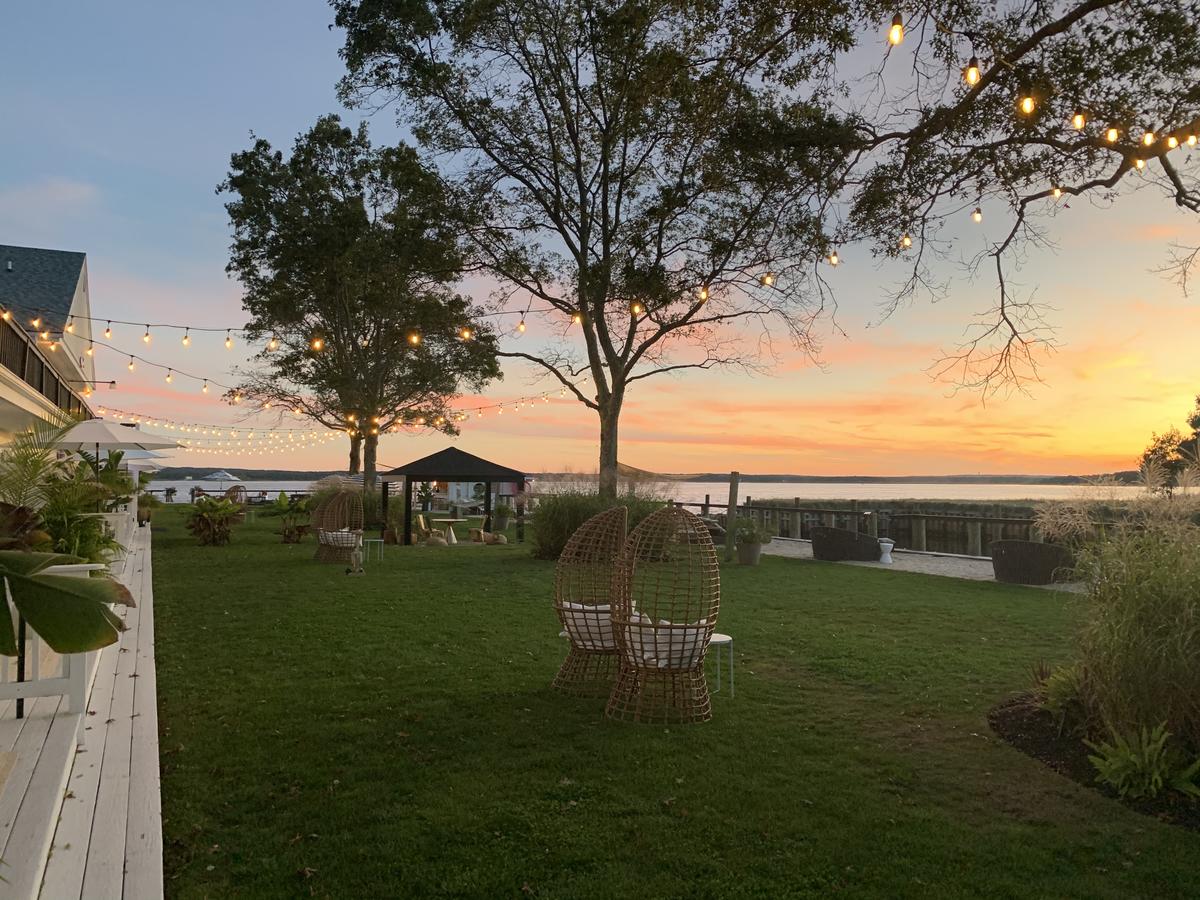 Aqua By American Beech - thumb 0