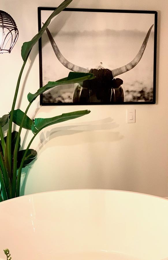 Aqua By American Beech - thumb 21