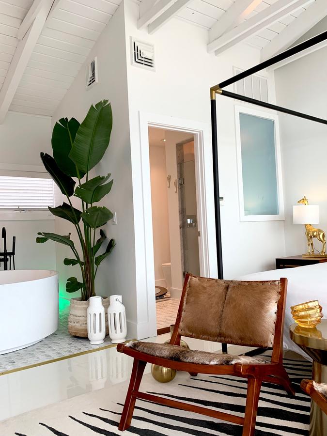 Aqua By American Beech - thumb 22