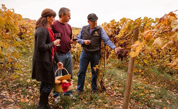 Serenity On The Lake - thumb 25