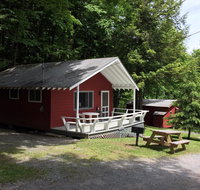 Forest Hill Lodge  Cabins - Accommodation Indiana