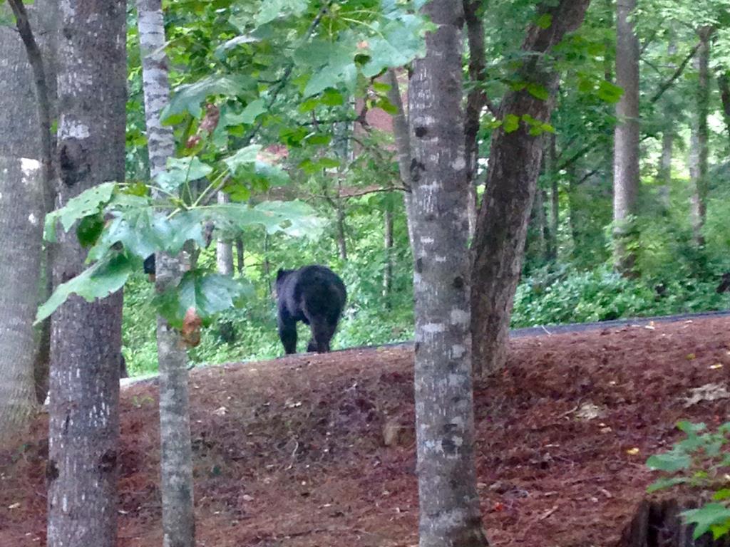 A Mountain Escapade Home - thumb 19