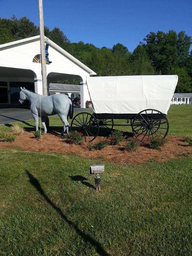 Carolina Motel - thumb 6