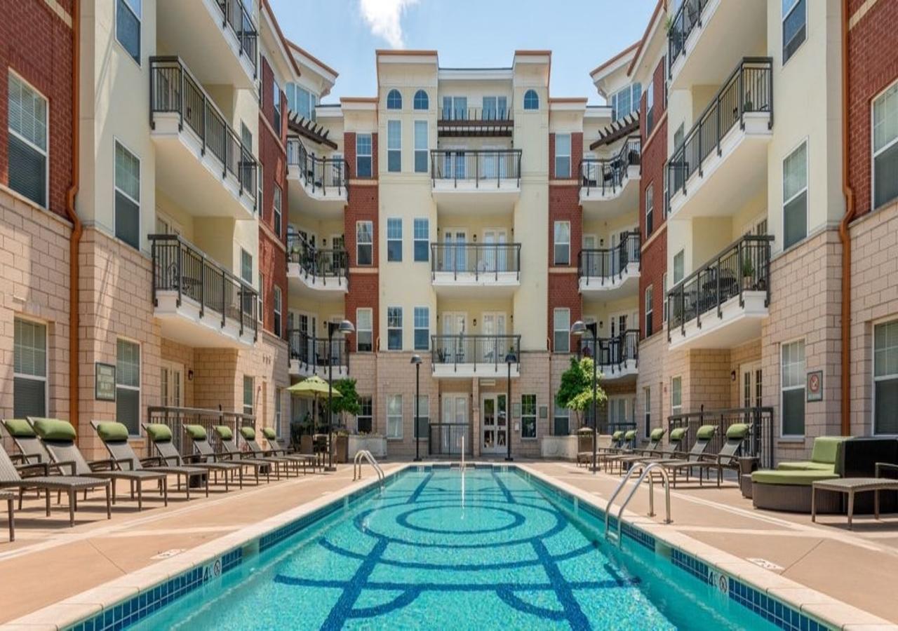 LEAGUE 704 /// SOUTH END II - thumb 1