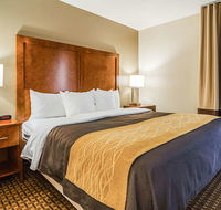 Comfort Inn  Suites Oxford South - Accommodation Indiana