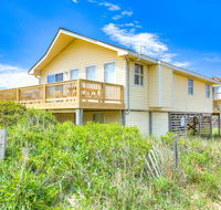 7040 - 2 Sanddollars - Accommodation Indiana