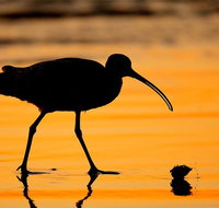 It's Not Too Late Grab Your Last Second Beach Vacay NOW - Accommodation Indiana