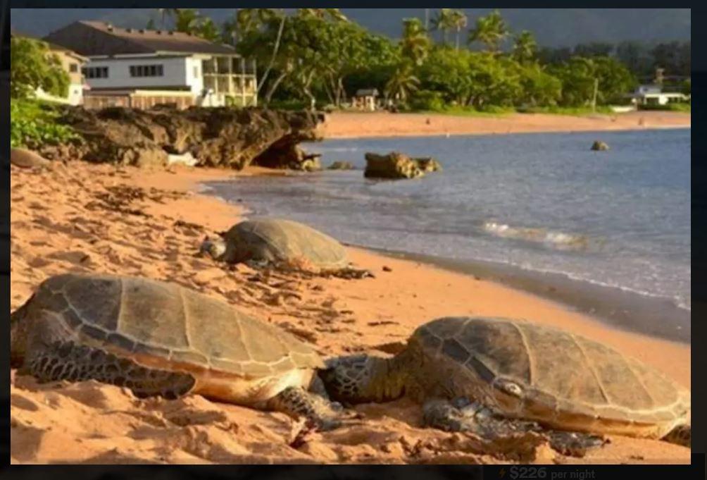 North Shore Haleiwa Home - thumb 17