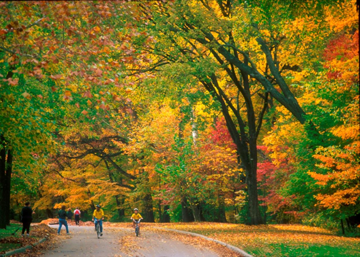 Best Western Premier Mariemont Inn - thumb 11