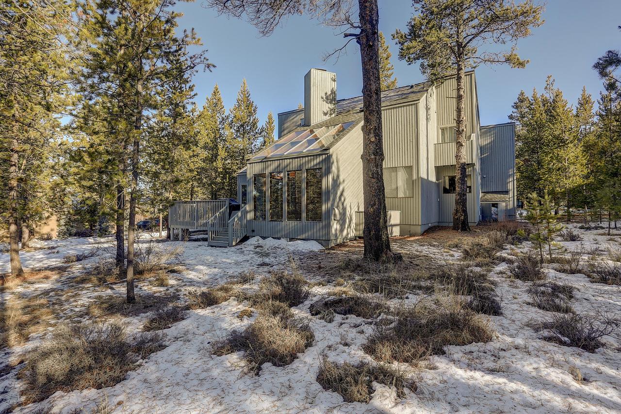 26 Yellow Pine - thumb 21