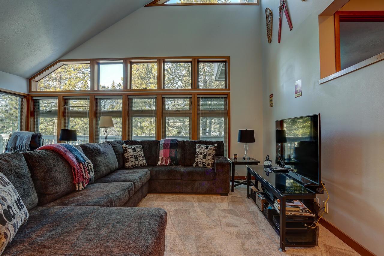 26 Yellow Pine - thumb 16