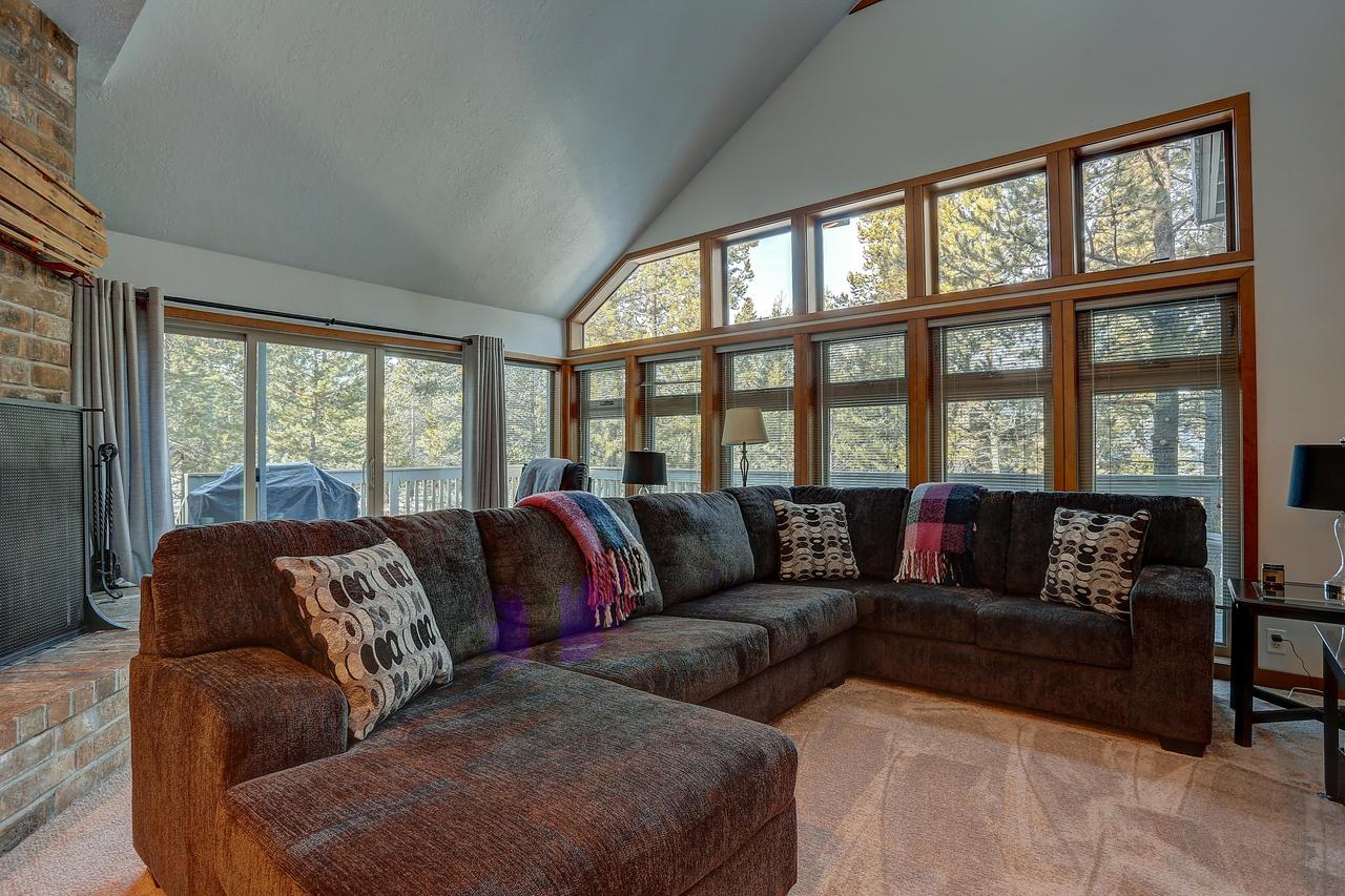 26 Yellow Pine - thumb 2