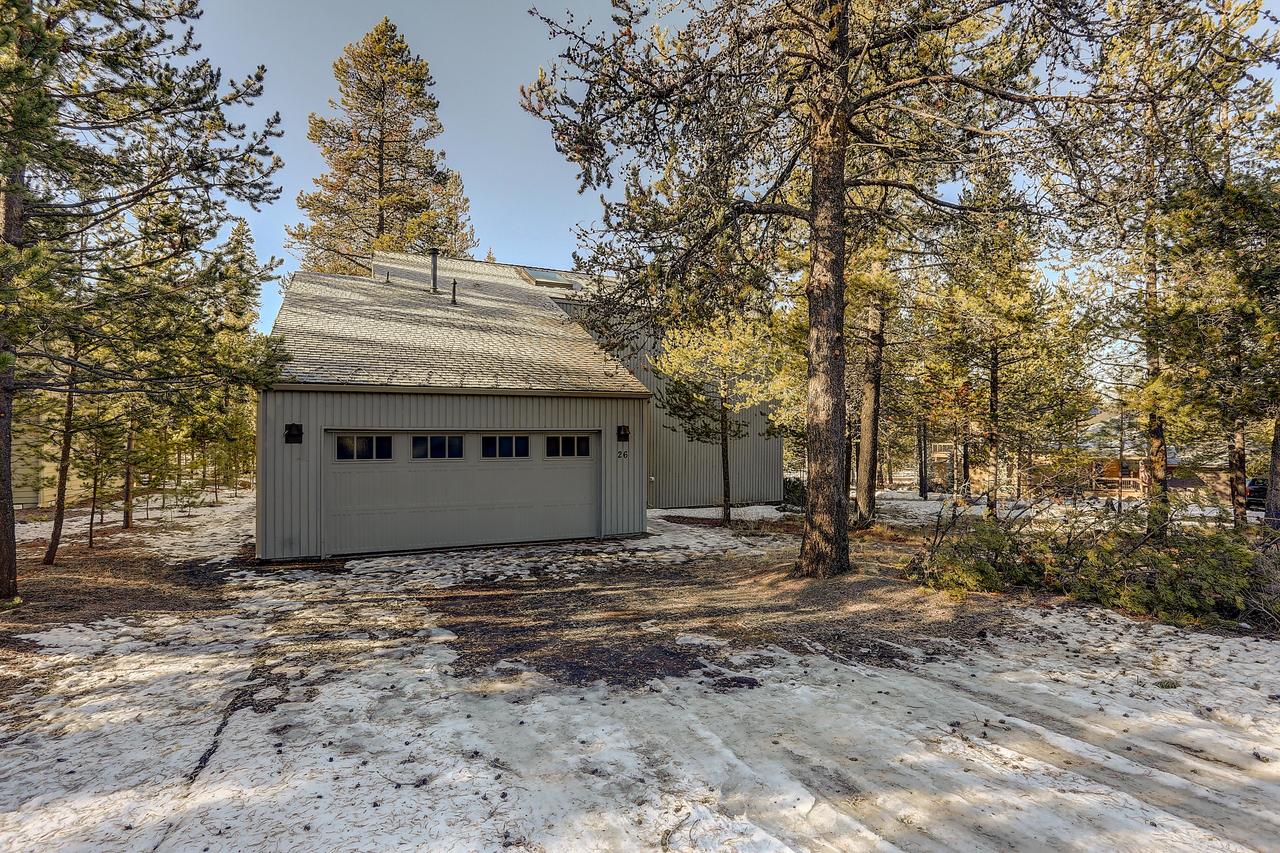 26 Yellow Pine - thumb 8