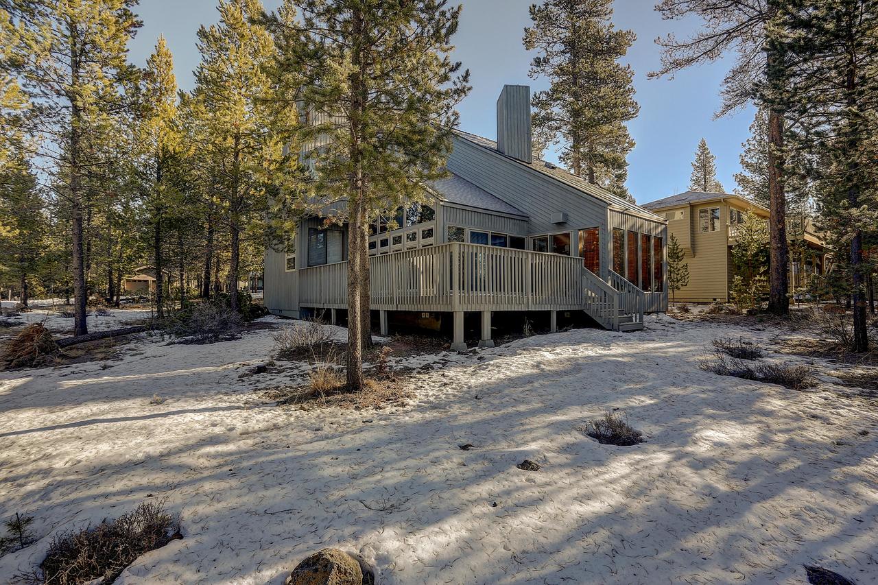 26 Yellow Pine - thumb 3