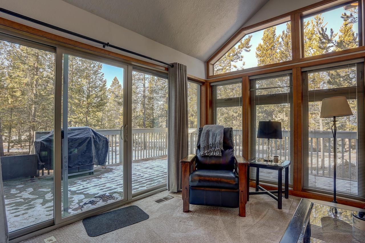 26 Yellow Pine - thumb 28