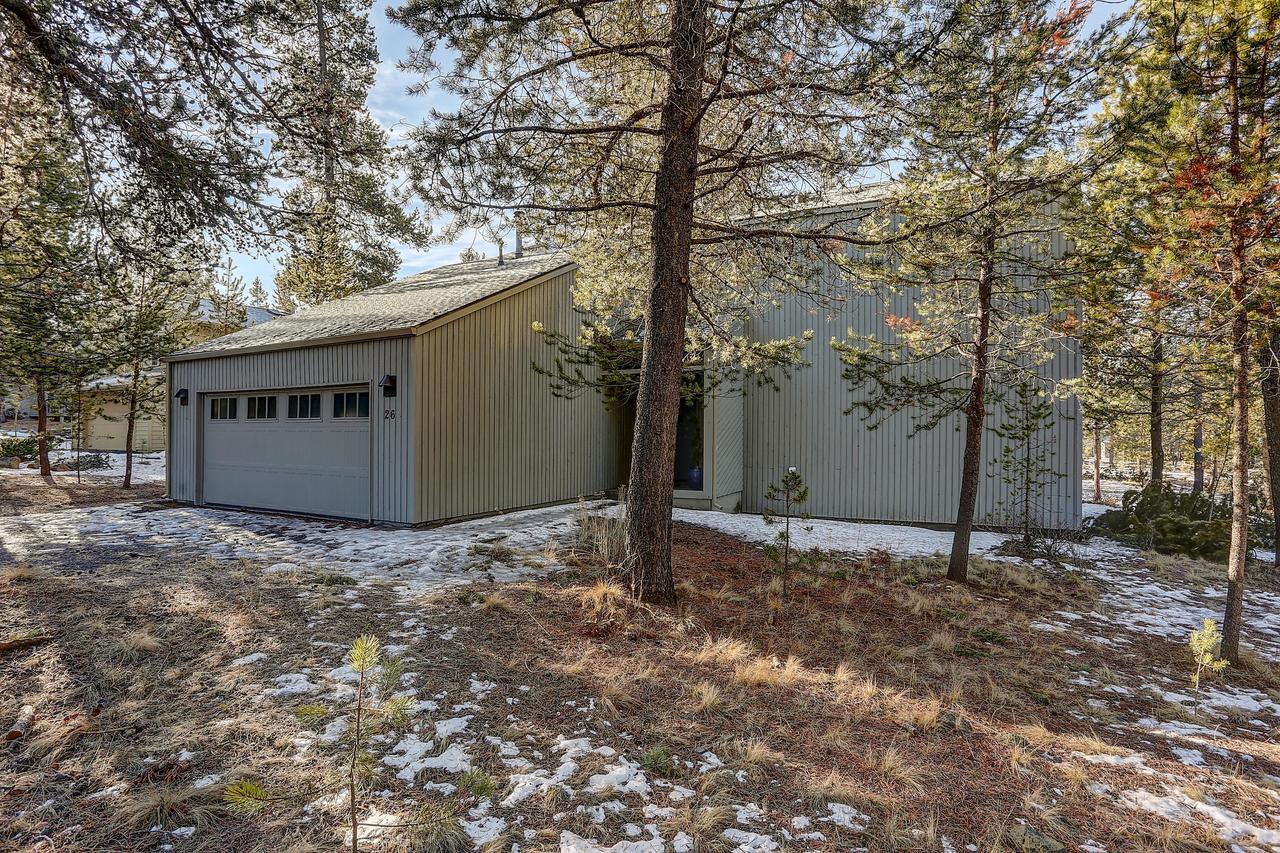 26 Yellow Pine - thumb 24