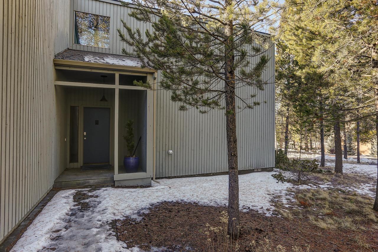 26 Yellow Pine - thumb 17