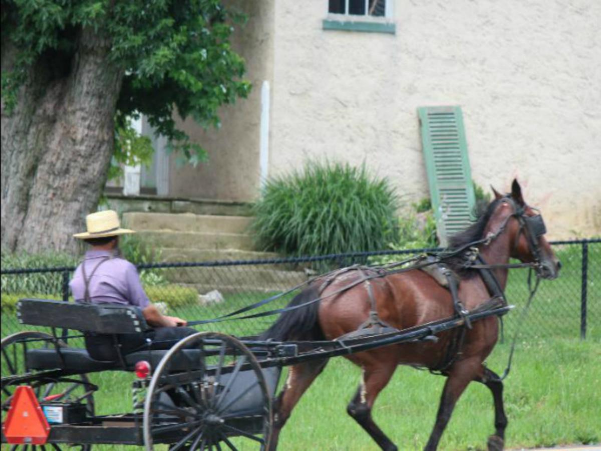 Harvest Drive Family Inn Intercourse - Amish Country - thumb 43