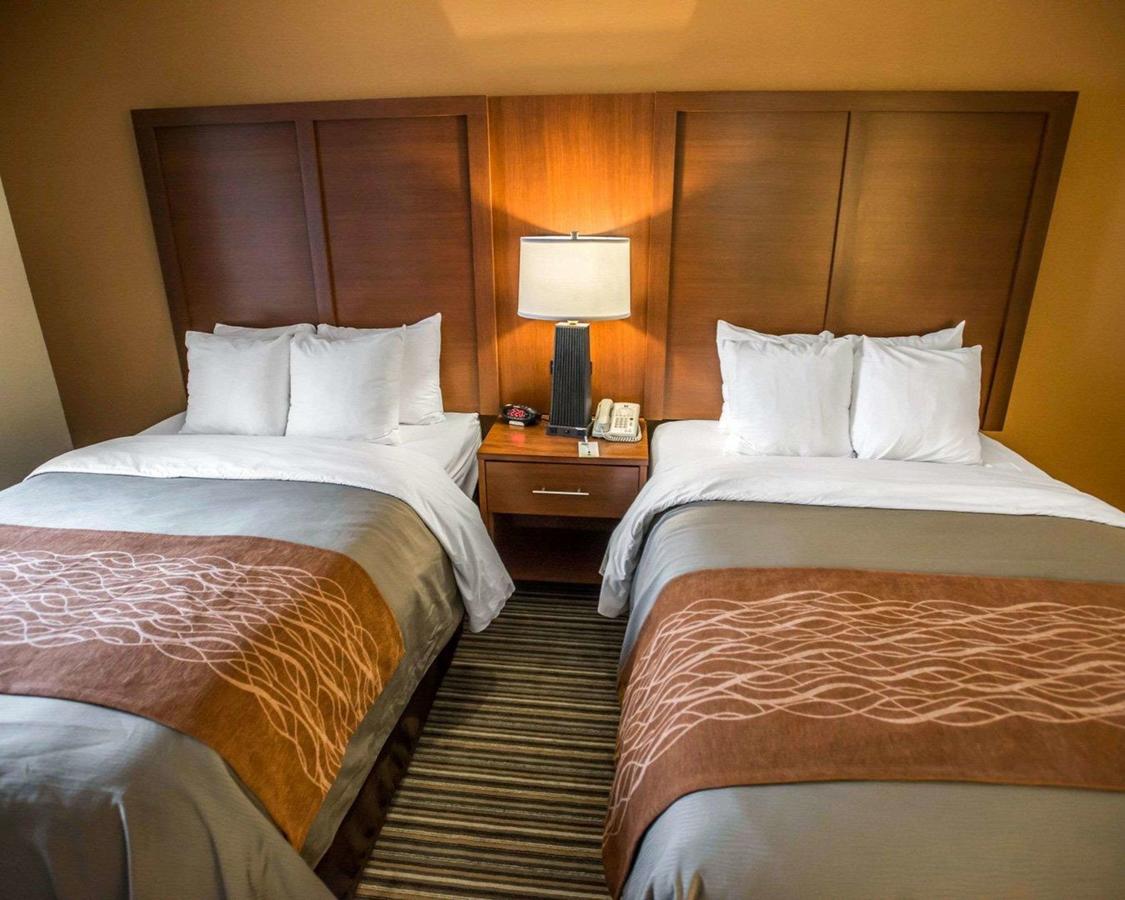 Comfort Inn At The Park - thumb 32