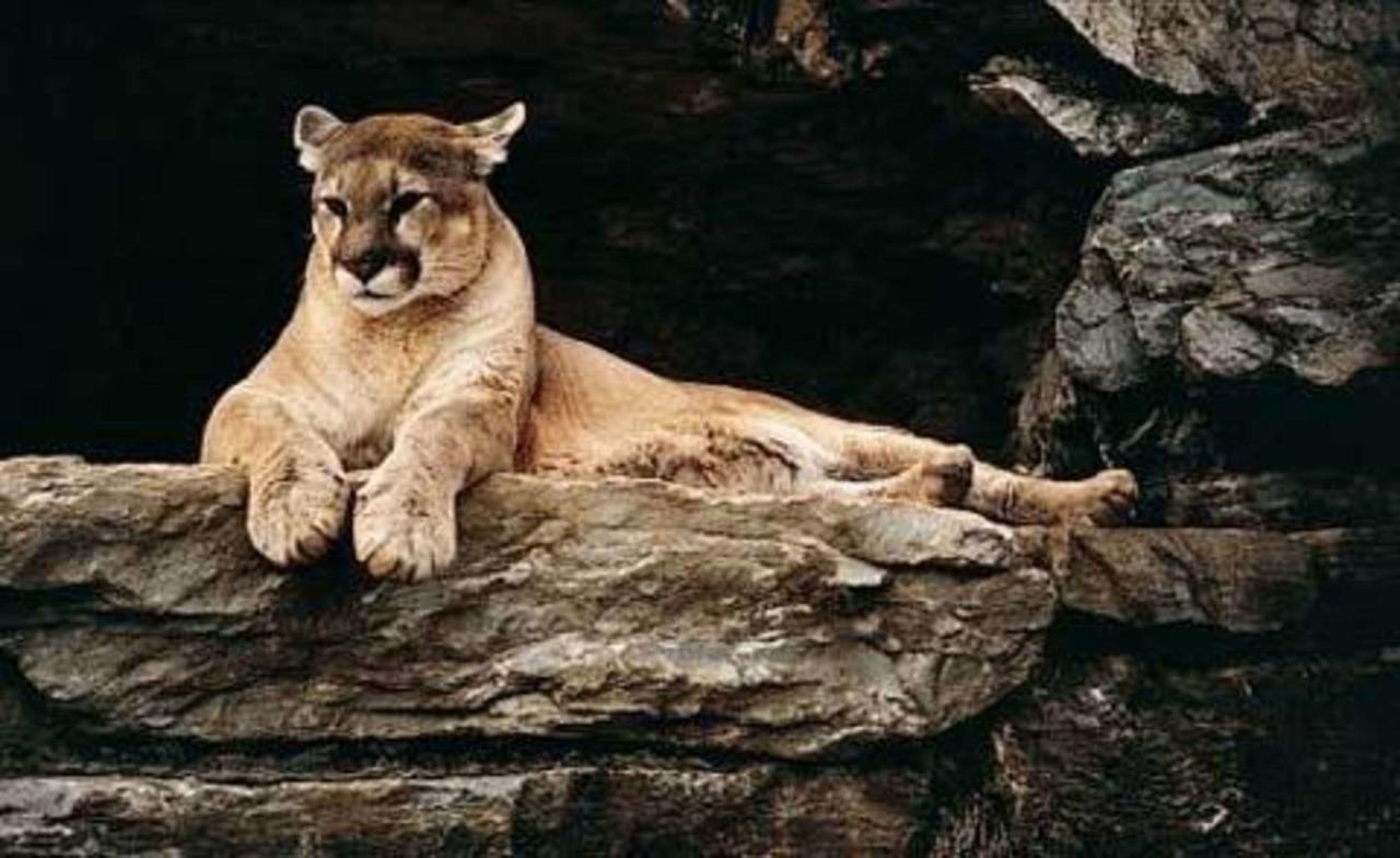 Comfort Inn At The Park - thumb 33