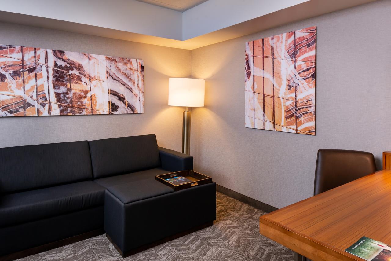 SpringHill Suites By Marriott Pittsburgh North Shore - thumb 13