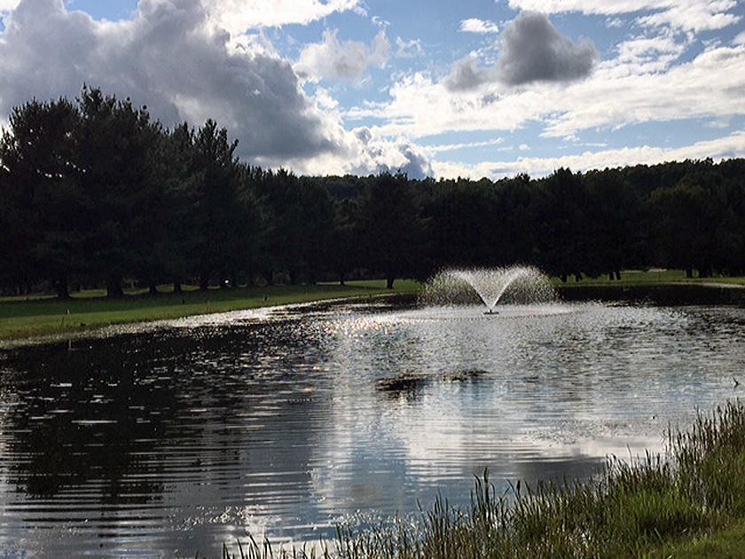 Shadowbrook Resort - thumb 12