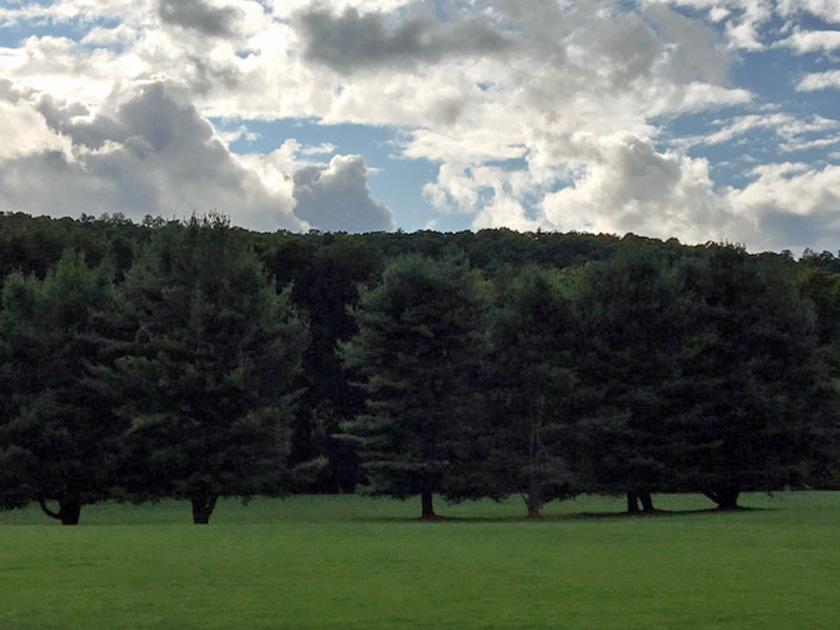 Shadowbrook Resort - thumb 10