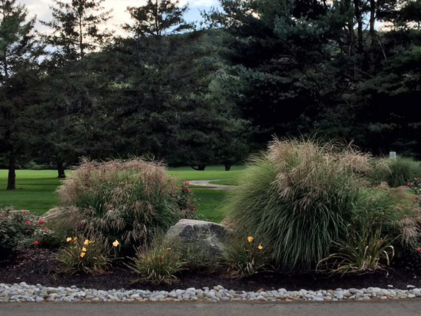 Shadowbrook Resort - thumb 16