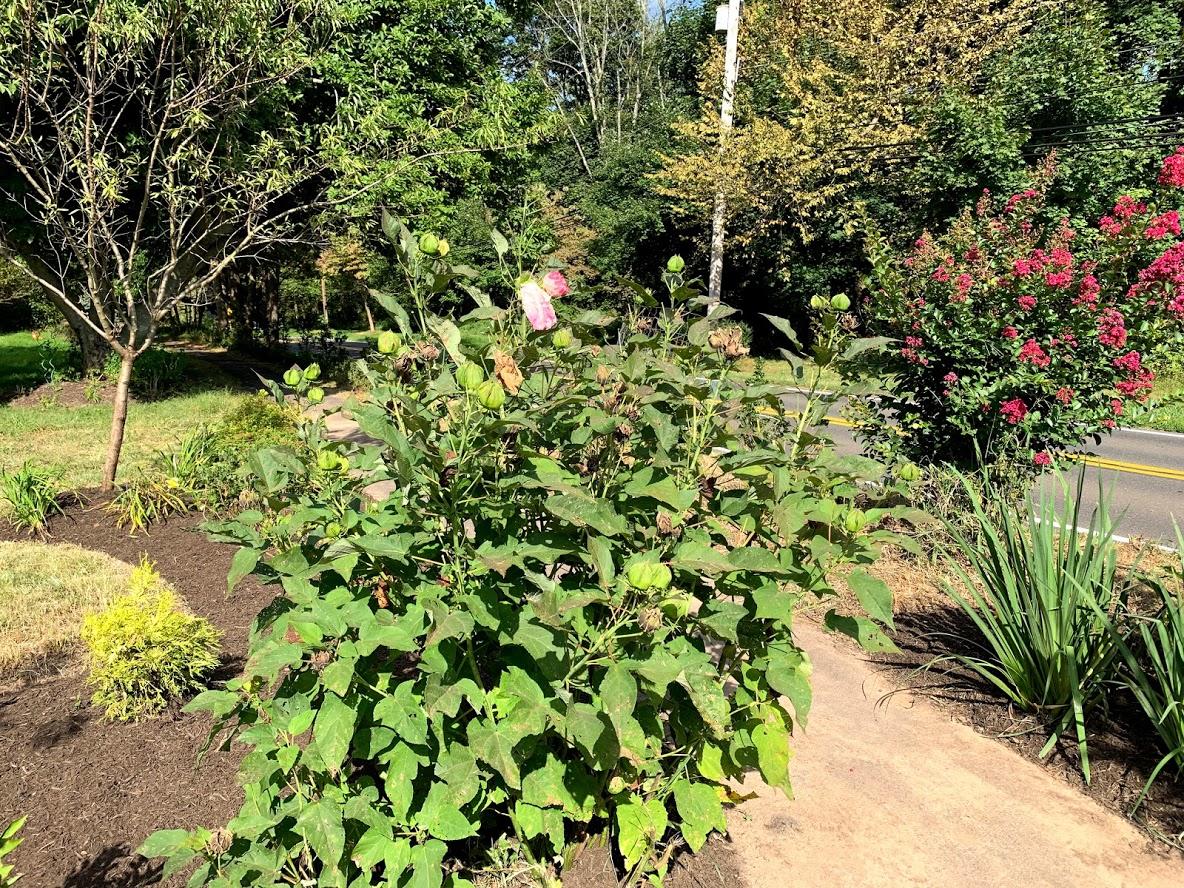 America Sandman B & B - thumb 42