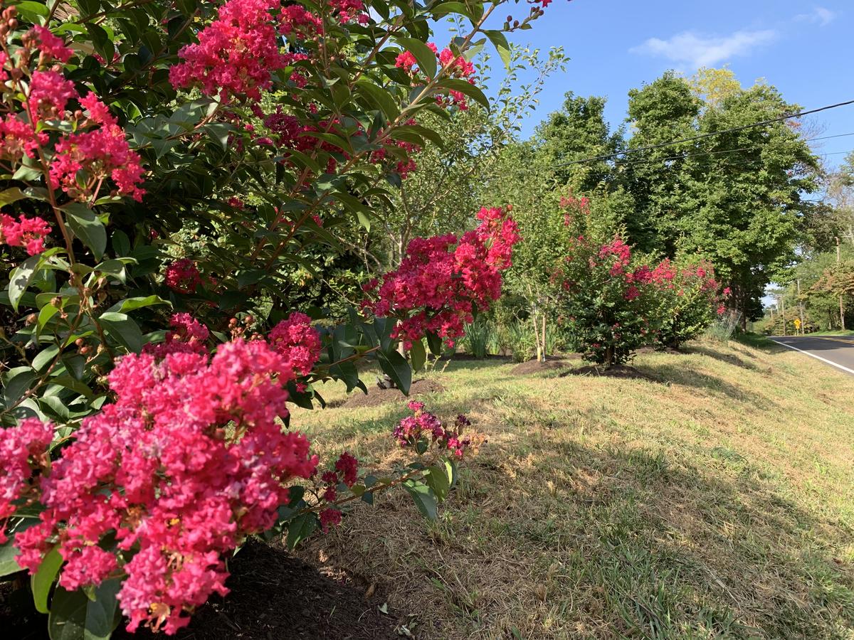 America Sandman B & B - thumb 24