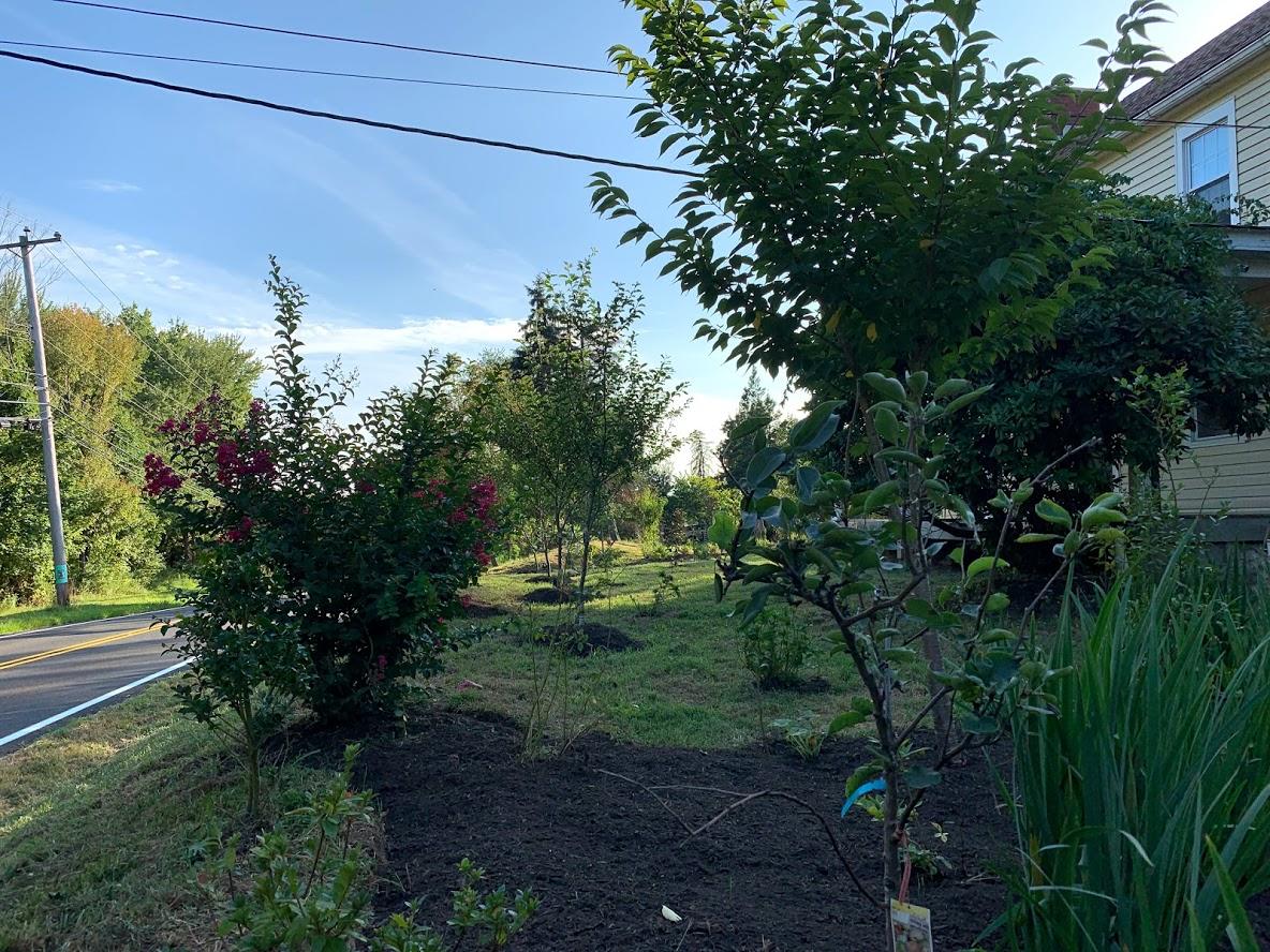 America Sandman B & B - thumb 17