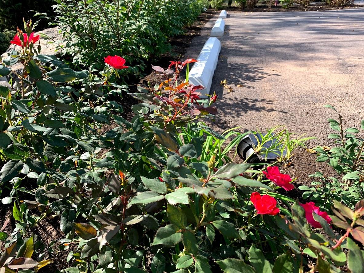 America Sandman B & B - thumb 19