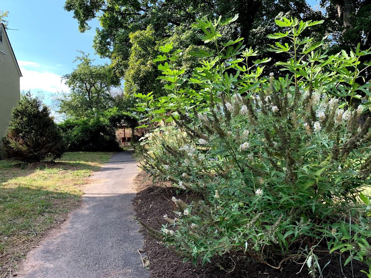 America Sandman B & B - thumb 41