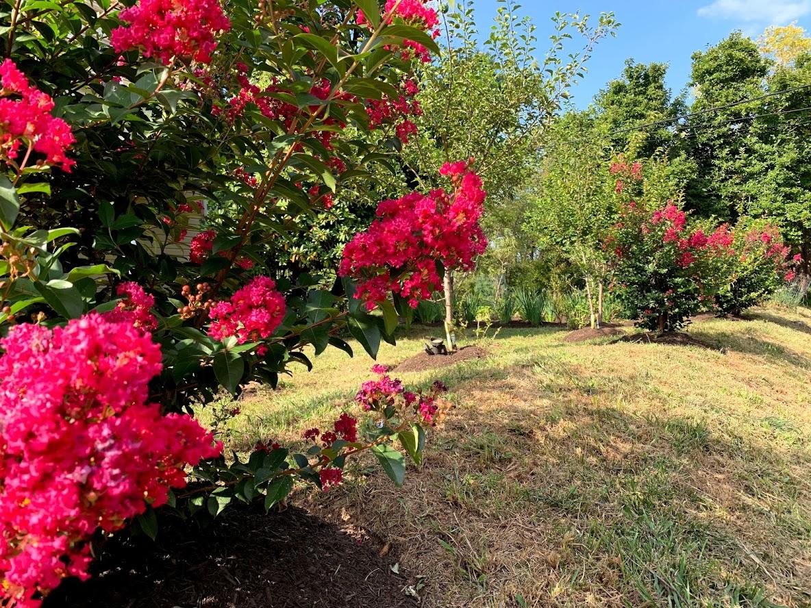 America Sandman B & B - thumb 39