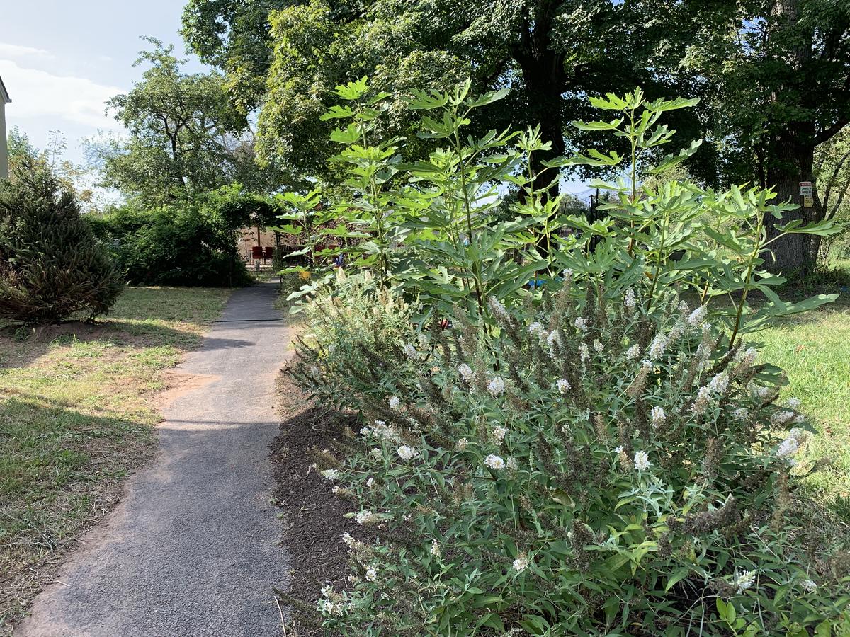 America Sandman B & B - thumb 31