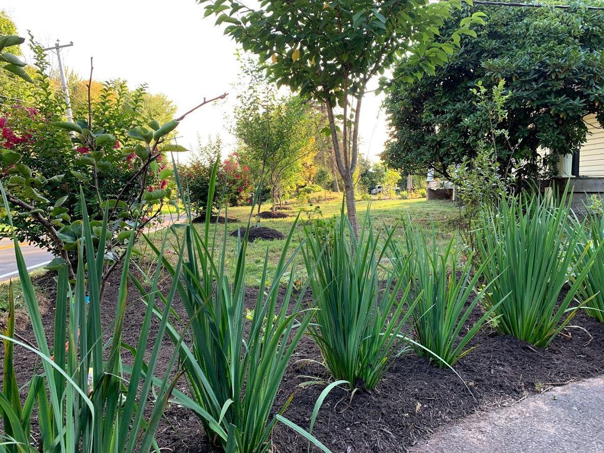 America Sandman B & B - thumb 18