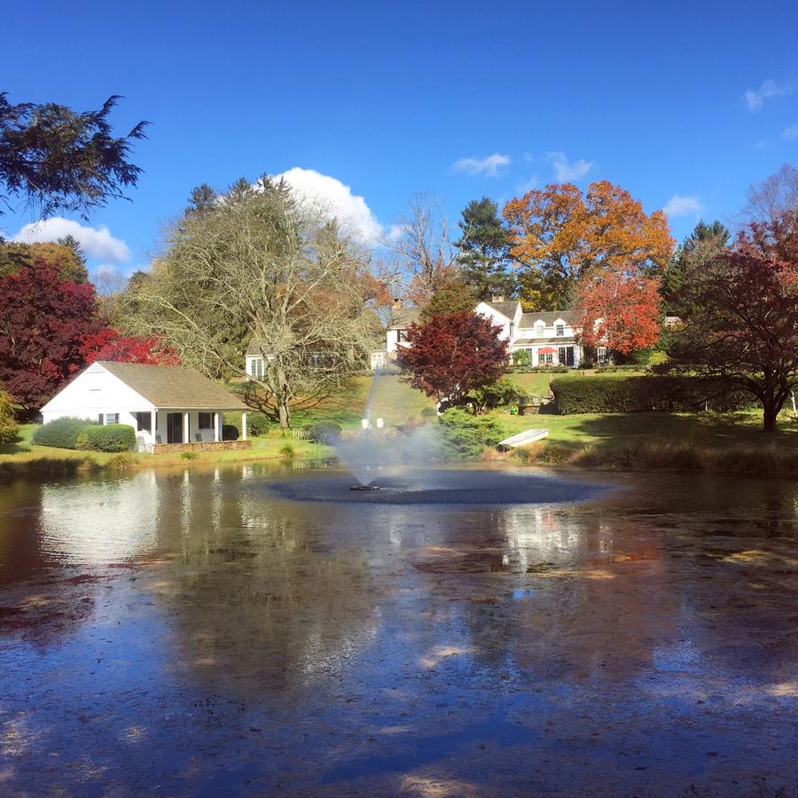 The Inn At Whitewing Farm - thumb 0