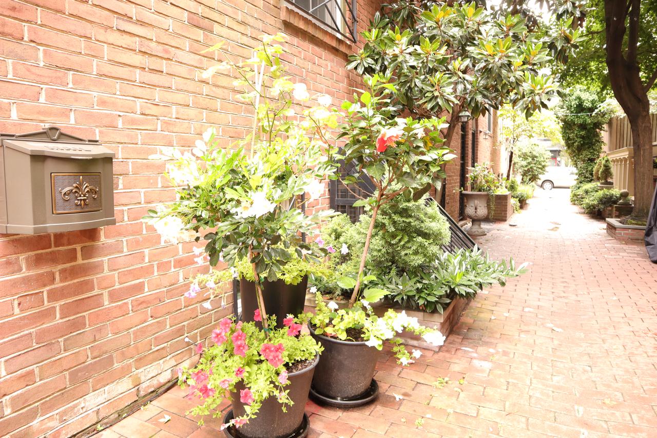 Villa 304-Cozy&Roomy Heart Of Center City APT - thumb 1