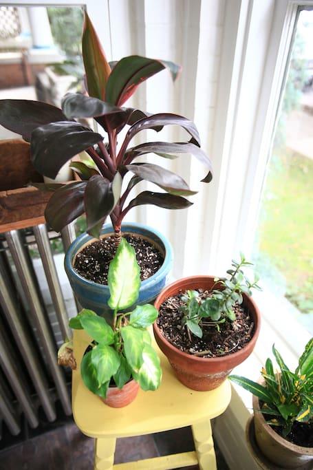 Uptown Flat - thumb 7